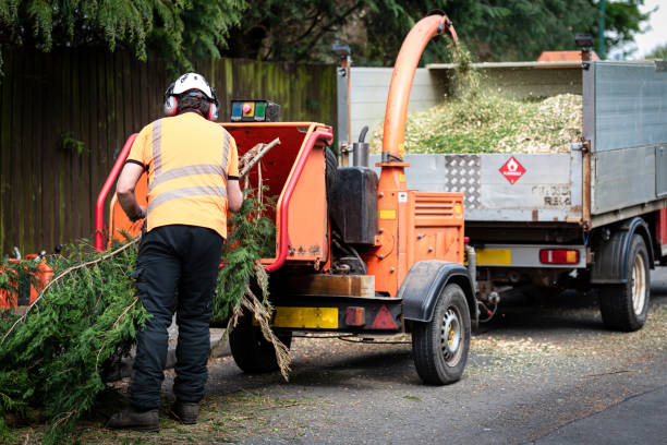 Marseilles, IL Tree Services Company